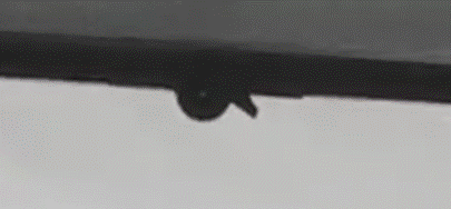 blobid2.gif