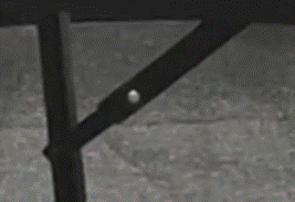 blobid1.gif